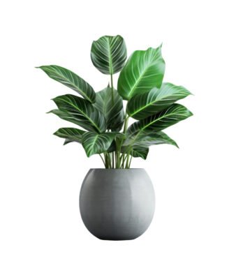 Deep Jungle Wukoku Tall Fake Plants