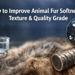 How to Improve Animal Fur Softness, Texture & Quality Grade